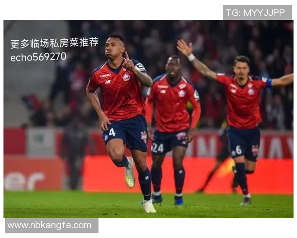 里尔法甲球员名单与实力对比
